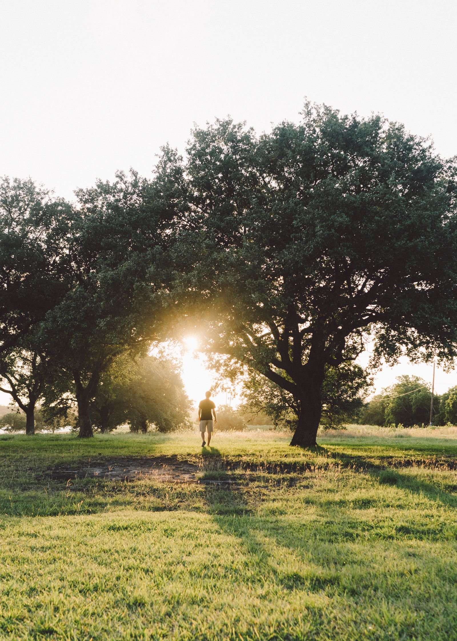 Person walking through sunlit trees — a symbol of hope and recovery